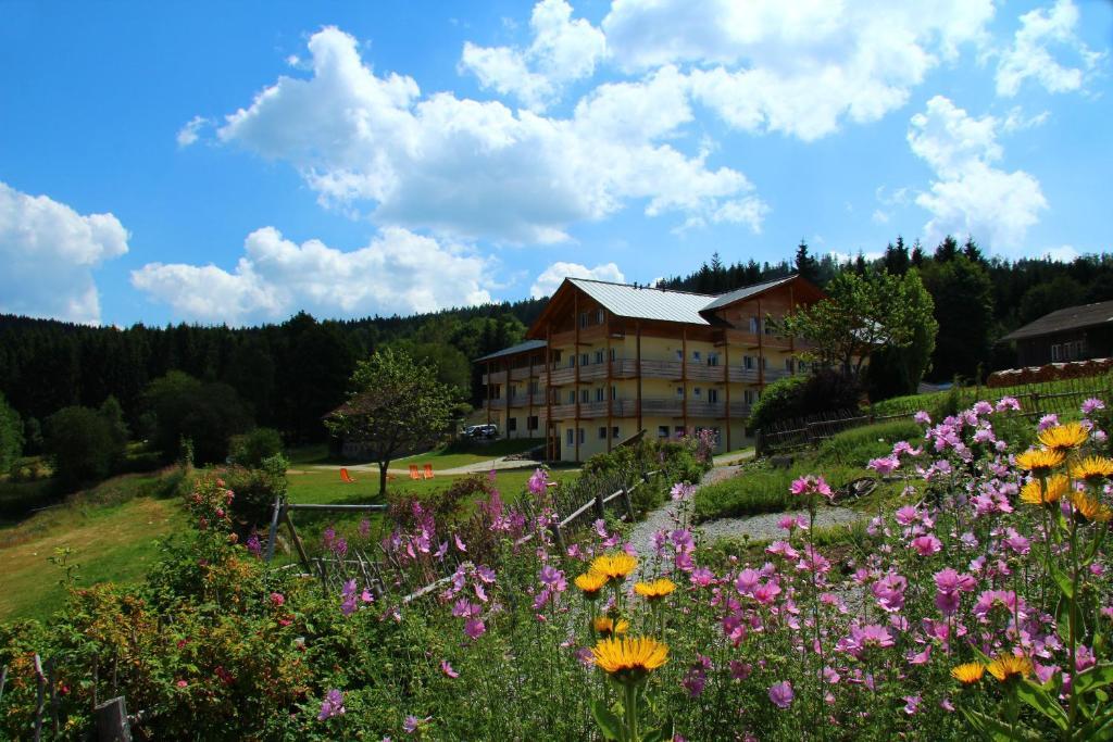 Berghotel Mooshuette Лоберг Экстерьер фото